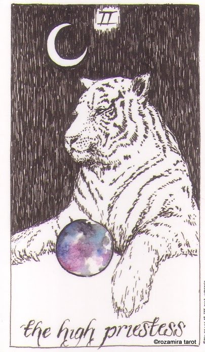 Wild Unknown Tarot